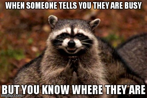 Evil Plotting Raccoon | WHEN SOMEONE TELLS YOU THEY ARE BUSY BUT YOU KNOW WHERE THEY ARE | image tagged in memes,evil plotting raccoon | made w/ Imgflip meme maker