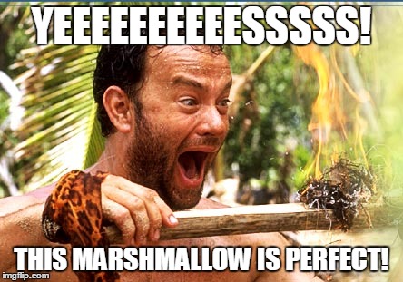 Thank you, sir, may I have s'more? | YEEEEEEEEEESSSSS! THIS MARSHMALLOW IS PERFECT! | image tagged in memes,castaway fire,perfection,exciting,simple,overjoyed | made w/ Imgflip meme maker