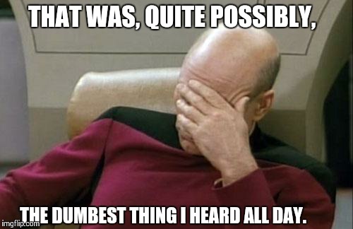 Captain Picard Facepalm | THAT WAS, QUITE POSSIBLY, THE DUMBEST THING I HEARD ALL DAY. | image tagged in memes,captain picard facepalm | made w/ Imgflip meme maker