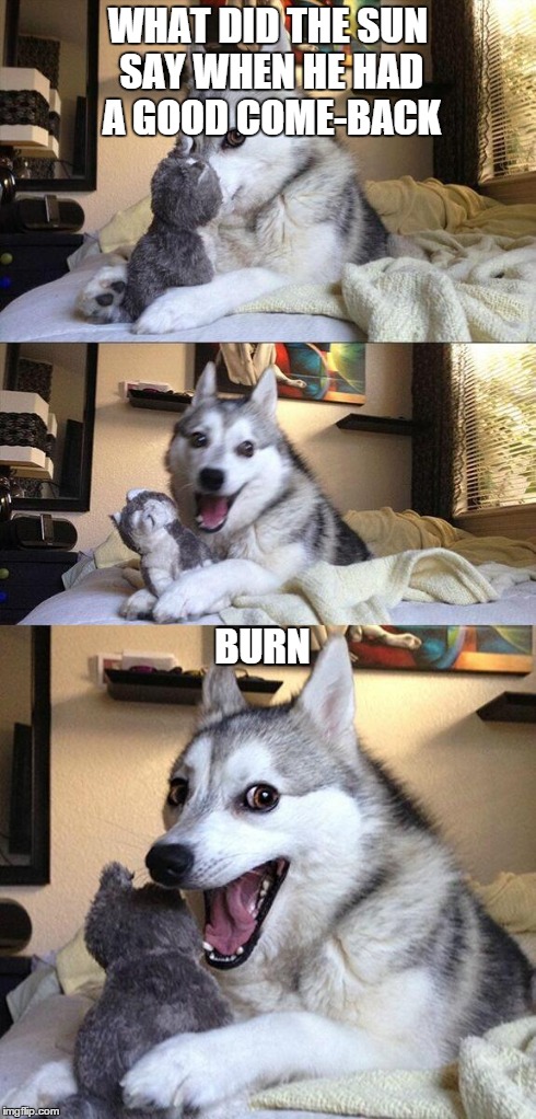 Bad Pun Dog Meme | WHAT DID THE SUN SAY WHEN HE HAD A GOOD COME-BACK BURN | image tagged in memes,bad pun dog | made w/ Imgflip meme maker