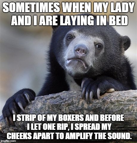 Confession Bear Meme | SOMETIMES WHEN MY LADY AND I ARE LAYING IN BED I STRIP OF MY BOXERS AND BEFORE I LET ONE RIP, I SPREAD MY CHEEKS APART TO AMPLIFY THE SOUND. | image tagged in memes,confession bear | made w/ Imgflip meme maker