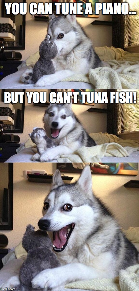 Bad Pun Dog | YOU CAN TUNE A PIANO... BUT YOU CAN'T TUNA FISH! | image tagged in memes,bad pun dog | made w/ Imgflip meme maker