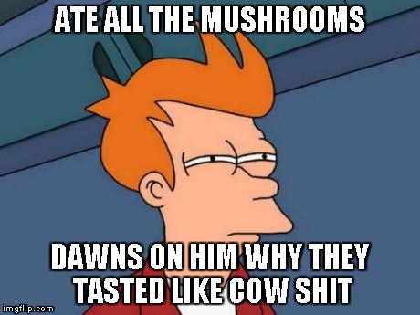 Futurama Fry | ATE ALL THE MUSHROOMS DAWNS ON HIM WHY THEY TASTED LIKE COW SHIT | image tagged in memes,futurama fry | made w/ Imgflip meme maker