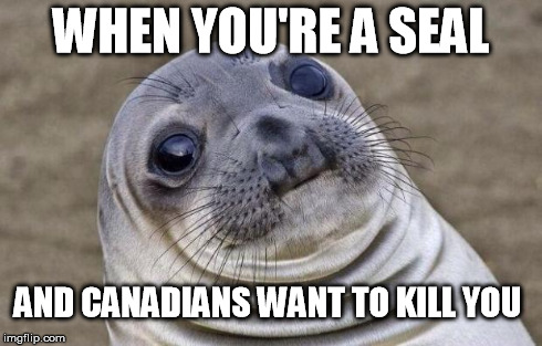 Canadian hunt | WHEN YOU'RE A SEAL AND CANADIANS WANT TO KILL YOU | image tagged in memes,awkward moment sealion,canada,seal | made w/ Imgflip meme maker