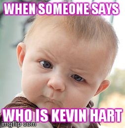 Skeptical Baby | WHEN SOMEONE SAYS WHO IS KEVIN HART | image tagged in memes,skeptical baby | made w/ Imgflip meme maker