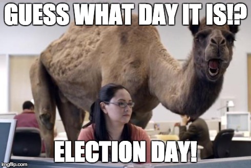 Camel | GUESS WHAT DAY IT IS!? ELECTION DAY! | image tagged in camel | made w/ Imgflip meme maker