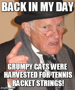 Back In My Day | BACK IN MY DAY GRUMPY CATS WERE HARVESTED FOR TENNIS RACKET STRINGS! | image tagged in memes,back in my day | made w/ Imgflip meme maker