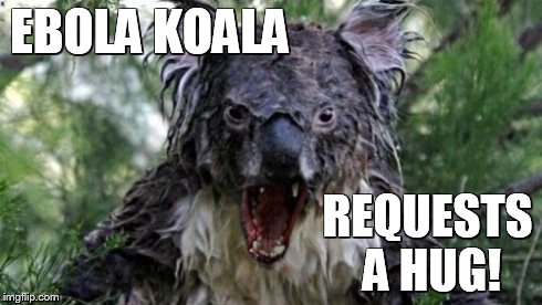 Angry Koala Meme | EBOLA KOALA REQUESTS A HUG! | image tagged in memes,angry koala | made w/ Imgflip meme maker