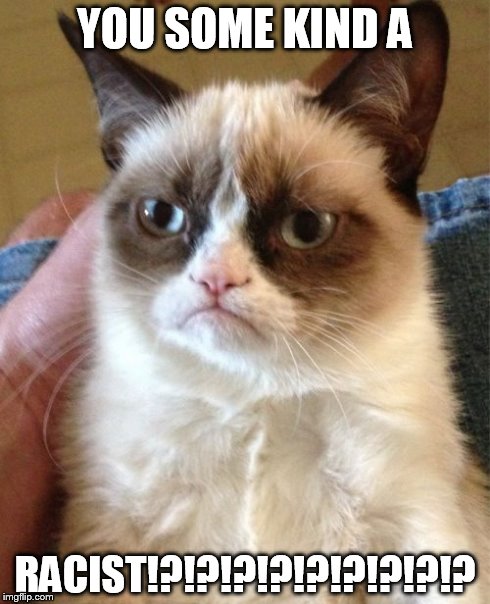 Grumpy Cat Meme | YOU SOME KIND A RACIST!?!?!?!?!?!?!?!?!? | image tagged in memes,grumpy cat | made w/ Imgflip meme maker