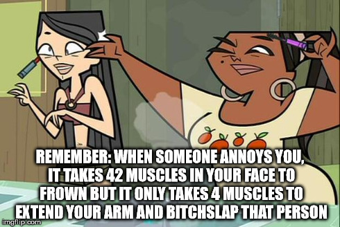 TDI Truth Meme | REMEMBER: WHEN SOMEONE ANNOYS YOU, IT TAKES 42 MUSCLES IN YOUR FACE TO FROWN BUT IT ONLY TAKES 4 MUSCLES TO EXTEND YOUR ARM AND B**CHSLAP TH | image tagged in slap,truth | made w/ Imgflip meme maker