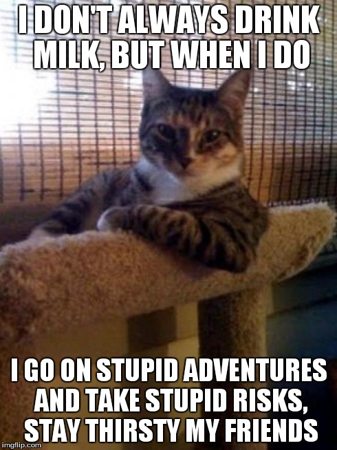 The Most Interesting Cat In The World | I DON'T ALWAYS DRINK MILK, BUT WHEN I DO I GO ON STUPID ADVENTURES AND TAKE STUPID RISKS, STAY THIRSTY MY FRIENDS | image tagged in memes,the most interesting cat in the world | made w/ Imgflip meme maker