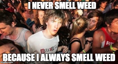 Sudden Clarity Clarence Meme | I NEVER SMELL WEED BECAUSE I ALWAYS SMELL WEED | image tagged in memes,sudden clarity clarence,see | made w/ Imgflip meme maker