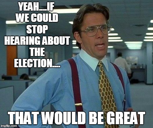 That Would Be Great | YEAH....IF WE COULD STOP HEARING ABOUT THE ELECTION.... THAT WOULD BE GREAT | image tagged in memes,that would be great | made w/ Imgflip meme maker