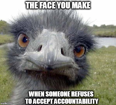 Cold Stare of Ostrich | THE FACE YOU MAKE WHEN SOMEONE REFUSES TO ACCEPT ACCOUNTABILITY | image tagged in cold stare of ostrich | made w/ Imgflip meme maker