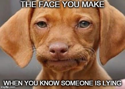 frowndog | THE FACE YOU MAKE WHEN YOU KNOW SOMEONE IS LYING | image tagged in frowndog | made w/ Imgflip meme maker