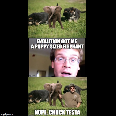 puppy sized elephant?nope, chuck testa | image tagged in funny,nerd,nerdy,memes,meme,chuck testa | made w/ Imgflip demotivational maker