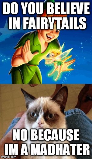 Grumpy Cat Does Not Believe Meme | DO YOU BELIEVE IN FAIRYTAILS NO BECAUSE IM A MADHATER | image tagged in memes,grumpy cat does not believe | made w/ Imgflip meme maker