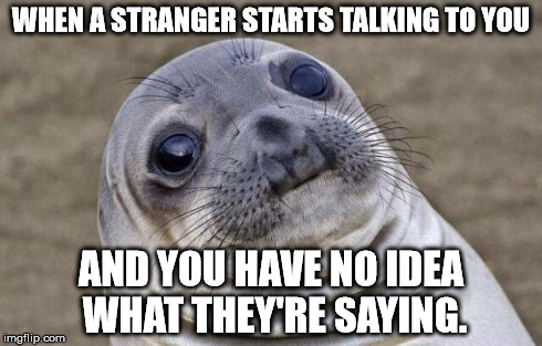 Awkward Moment Sealion Meme | WHEN A STRANGER STARTS TALKING TO YOU AND YOU HAVE NO IDEA WHAT THEY'RE SAYING. | image tagged in memes,awkward moment sealion | made w/ Imgflip meme maker