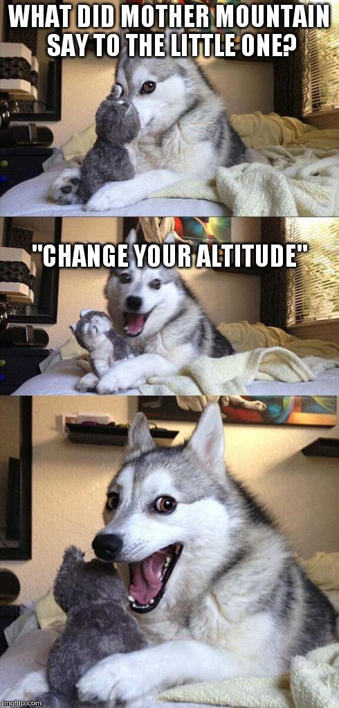 Bad Pun Dog | WHAT DID MOTHER MOUNTAIN SAY TO THE LITTLE ONE? "CHANGE YOUR ALTITUDE" | image tagged in memes,bad pun dog | made w/ Imgflip meme maker
