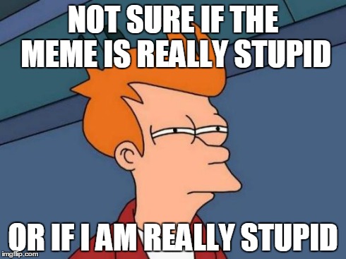 Futurama Fry Meme | NOT SURE IF THE MEME IS REALLY STUPID OR IF I AM REALLY STUPID | image tagged in memes,futurama fry | made w/ Imgflip meme maker