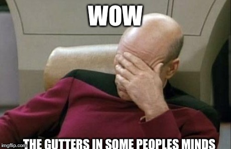 Captain Picard Facepalm | WOW THE GUTTERS IN SOME PEOPLES MINDS | image tagged in memes,captain picard facepalm | made w/ Imgflip meme maker