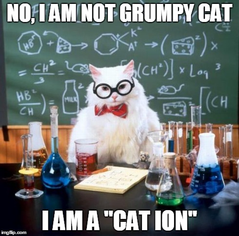 Chemistry Cat | NO, I AM NOT GRUMPY CAT I AM A "CAT ION" | image tagged in memes,chemistry cat | made w/ Imgflip meme maker
