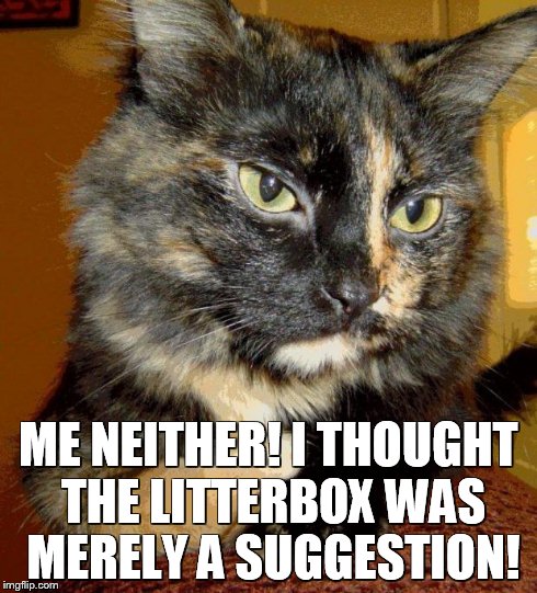 ME NEITHER! I THOUGHT THE LITTERBOX WAS MERELY A SUGGESTION! | made w/ Imgflip meme maker