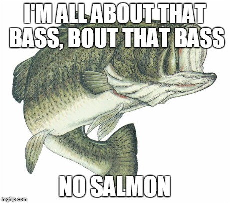 I'M ALL ABOUT THAT BASS, BOUT THAT BASS NO SALMON | image tagged in fish | made w/ Imgflip meme maker
