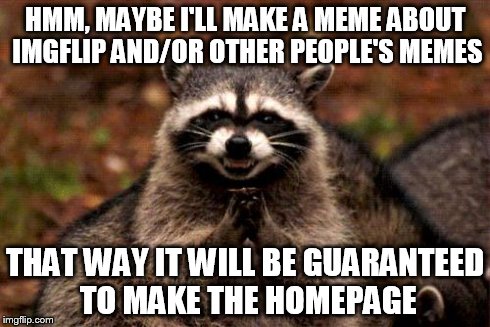 Evil Plotting Raccoon Meme | HMM, MAYBE I'LL MAKE A MEME ABOUT IMGFLIP AND/OR OTHER PEOPLE'S MEMES THAT WAY IT WILL BE GUARANTEED TO MAKE THE HOMEPAGE | image tagged in memes,evil plotting raccoon | made w/ Imgflip meme maker