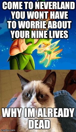 Grumpy Cat Does Not Believe | COME TO NEVERLAND YOU WONT HAVE TO WORRIE ABOUT YOUR NINE LIVES WHY IM ALREADY DEAD | image tagged in memes,grumpy cat does not believe | made w/ Imgflip meme maker