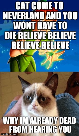 Grumpy Cat Does Not Believe | CAT COME TO NEVERLAND AND YOU WONT HAVE TO DIE BELIEVE BELIEVE BELIEVE BELIEVE WHY IM ALREADY DEAD FROM HEARING YOU | image tagged in memes,grumpy cat does not believe | made w/ Imgflip meme maker