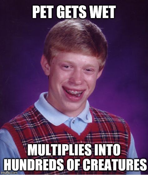 Bad Luck Brian Meme | PET GETS WET MULTIPLIES INTO HUNDREDS OF CREATURES | image tagged in memes,bad luck brian | made w/ Imgflip meme maker