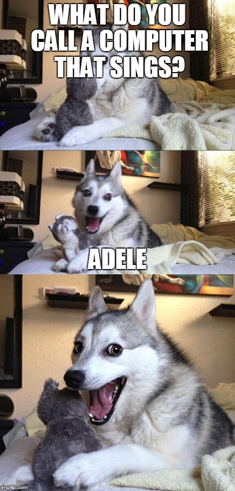 Bad Pun Dog | WHAT DO YOU CALL A COMPUTER THAT SINGS? ADELE | image tagged in memes,bad pun dog | made w/ Imgflip meme maker