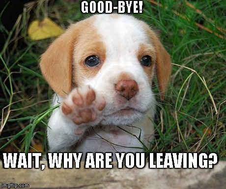 dog puppy bye | GOOD-BYE! WAIT, WHY ARE YOU LEAVING? | image tagged in cute,dog,puppy,bye | made w/ Imgflip meme maker