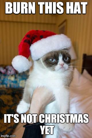 Grumpy Cat Christmas | BURN THIS HAT IT'S NOT CHRISTMAS YET | image tagged in memes,grumpy cat christmas,grumpy cat | made w/ Imgflip meme maker