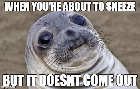 Awkward Moment Sealion | WHEN YOU'RE ABOUT TO SNEEZE BUT IT DOESNT COME OUT | image tagged in memes,awkward moment sealion | made w/ Imgflip meme maker