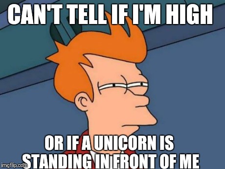 Futurama Fry | CAN'T TELL IF I'M HIGH OR IF A UNICORN IS STANDING IN FRONT OF ME | image tagged in memes,futurama fry | made w/ Imgflip meme maker