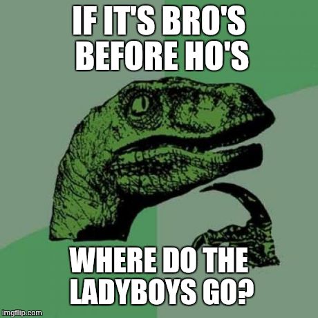 Philosoraptor | IF IT'S BRO'S BEFORE HO'S WHERE DO THE LADYBOYS GO? | image tagged in memes,philosoraptor | made w/ Imgflip meme maker