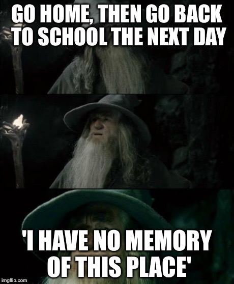 Confused Gandalf | GO HOME, THEN GO BACK TO SCHOOL THE NEXT DAY 'I HAVE NO MEMORY OF THIS PLACE' | image tagged in memes,confused gandalf | made w/ Imgflip meme maker