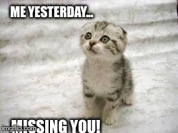 Sad Cat | ME YESTERDAY... MISSING YOU! | image tagged in memes,sad cat | made w/ Imgflip meme maker