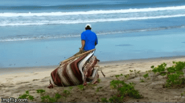 made at imgflip.com Jeff Probst gif