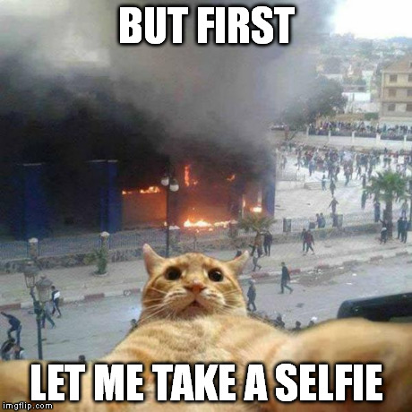 but first let me take a selfie meme