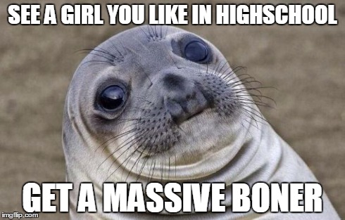 Awkward Moment Sealion | SEE A GIRL YOU LIKE IN HIGHSCHOOL GET A MASSIVE BONER | image tagged in memes,awkward moment sealion | made w/ Imgflip meme maker