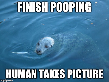 FINISH POOPING HUMAN TAKES PICTURE | made w/ Imgflip meme maker