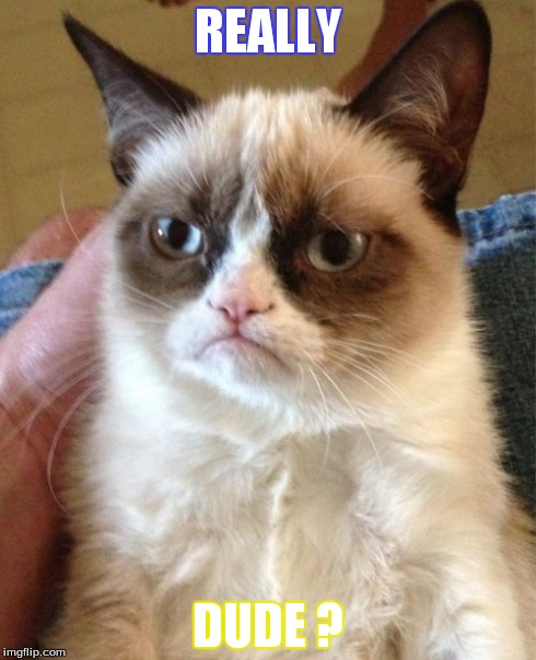 Grumpy Cat Meme | REALLY DUDE ? | image tagged in memes,grumpy cat | made w/ Imgflip meme maker