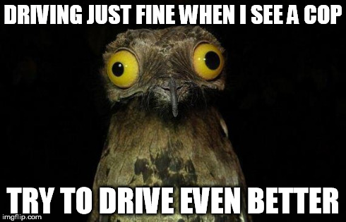 Weird Stuff I Do Potoo | DRIVING JUST FINE WHEN I SEE A COP TRY TO DRIVE EVEN BETTER | image tagged in memes,weird stuff i do potoo | made w/ Imgflip meme maker