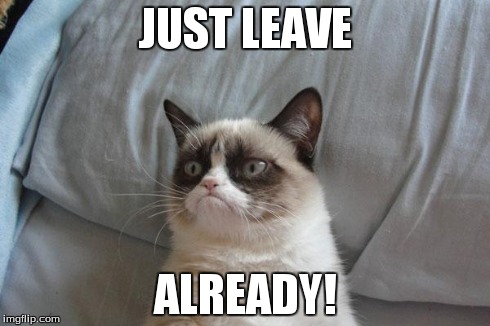 Grumpy Cat Bed | JUST LEAVE ALREADY! | image tagged in memes,grumpy cat bed,grumpy cat | made w/ Imgflip meme maker