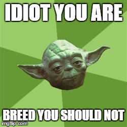 Advice Yoda | IDIOT YOU ARE BREED YOU SHOULD NOT | image tagged in memes,advice yoda | made w/ Imgflip meme maker