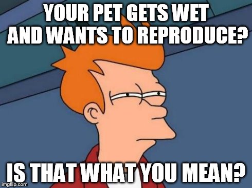 Futurama Fry Meme | YOUR PET GETS WET AND WANTS TO REPRODUCE? IS THAT WHAT YOU MEAN? | image tagged in memes,futurama fry | made w/ Imgflip meme maker