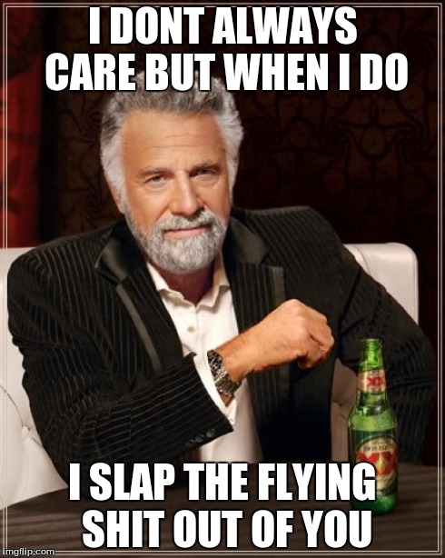 The Most Interesting Man In The World Meme | I DONT ALWAYS CARE BUT WHEN I DO I SLAP THE FLYING SHIT OUT OF YOU | image tagged in memes,the most interesting man in the world | made w/ Imgflip meme maker